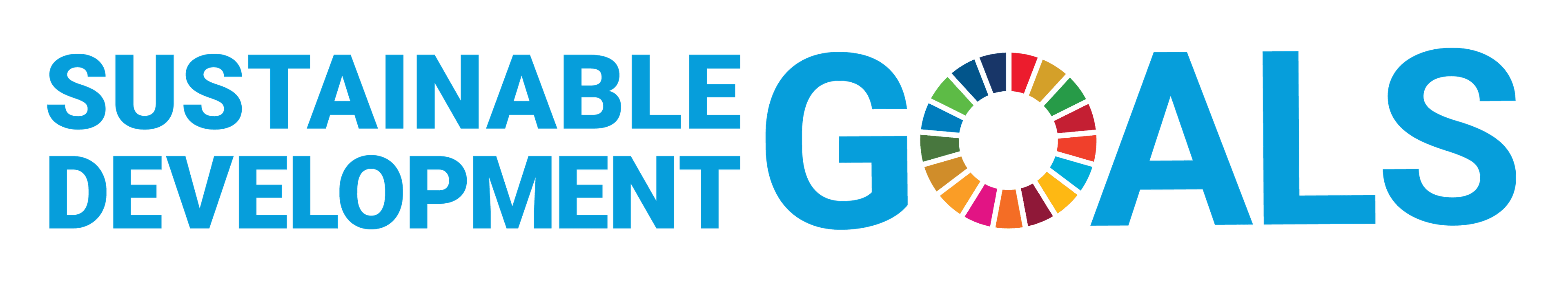 SDG Logo